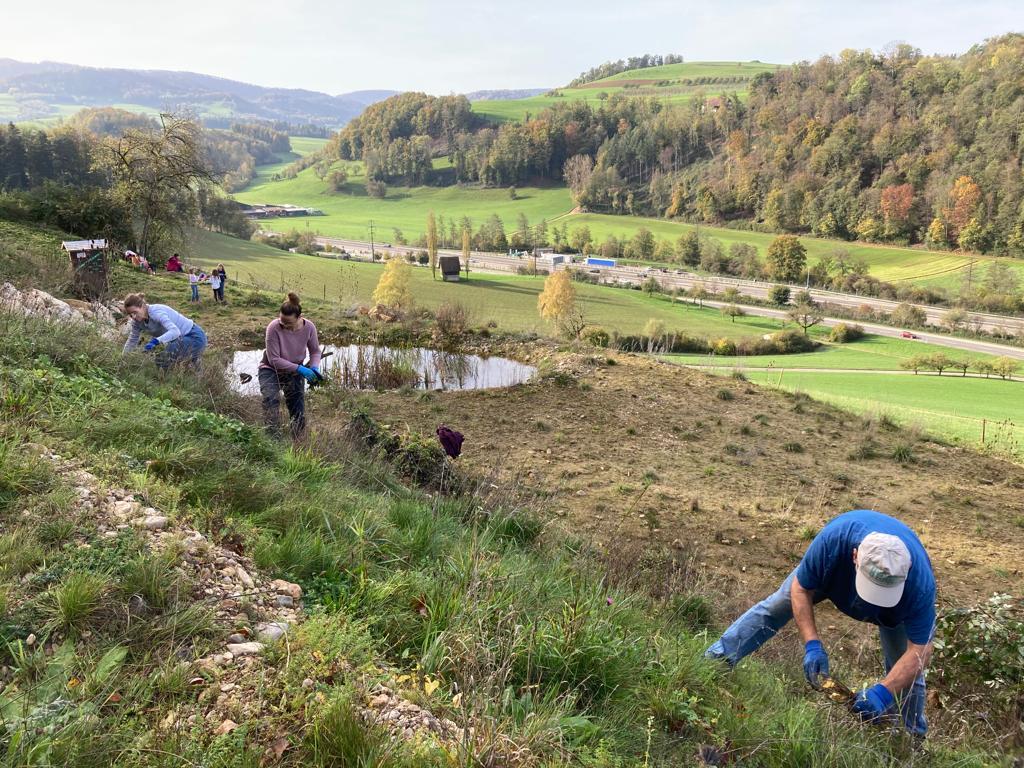 Das Dorf lebt Tenniken fotografiert Gemeinde Tenniken
